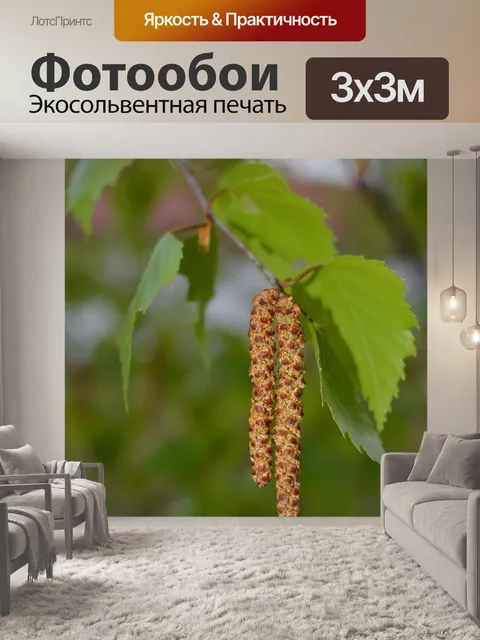 Фотообои Березовые серьги.