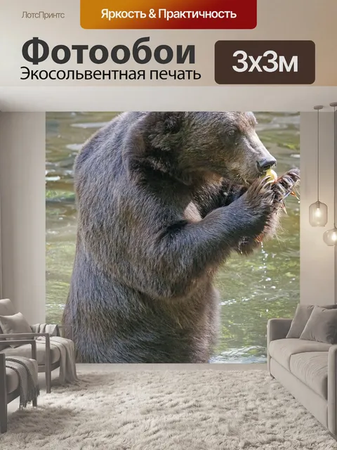 Фотообои Бурый медведь