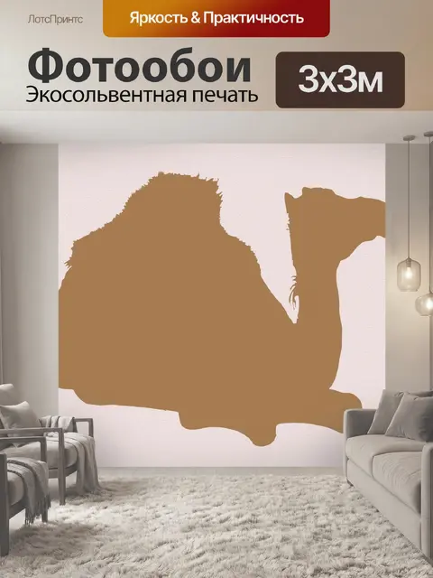 Фотообои Дромадер Верблюд животных