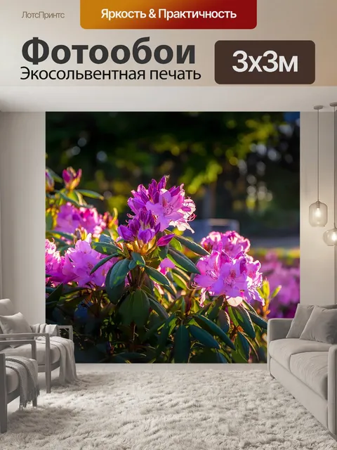 Фотообои Цветы