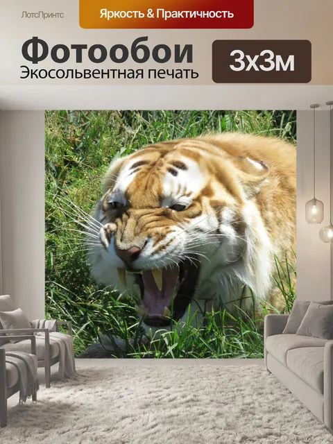Фотообои Тигр