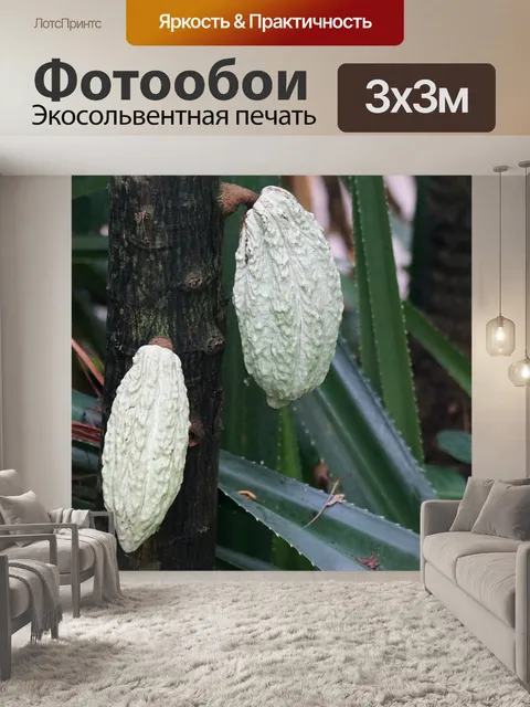 Фотообои Какао