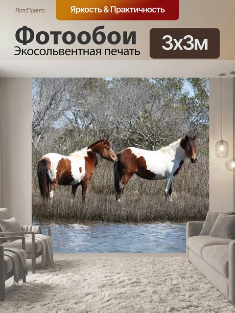Фотообои Дикие лошади