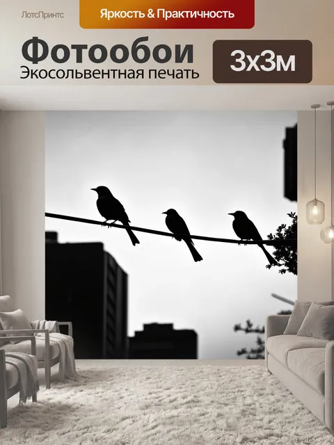 Фотообои птицы, сидящие на проводах в городской среде, контраст между природой и урбанизацией, черно-белое фото с…