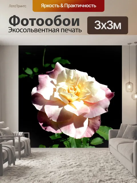 Фотообои Розы
