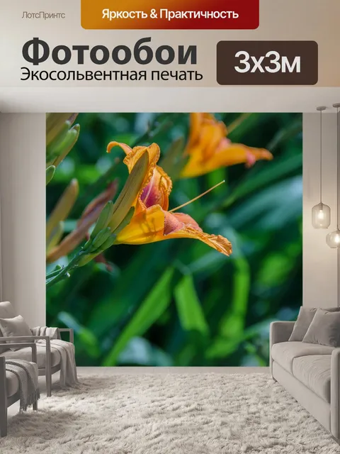 Фотообои Лилии