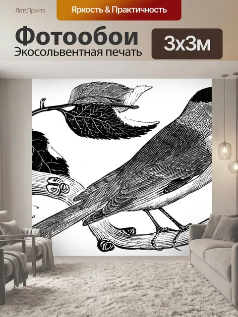 Фотообои Blackcap