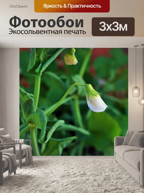 Фотообои зеленый горошек цветок