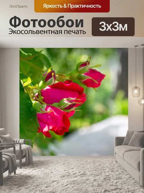 Фотообои Роза
