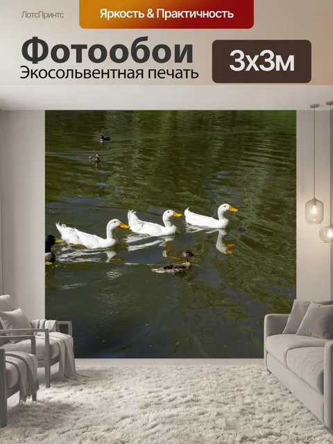Фотообои Гуси и утки