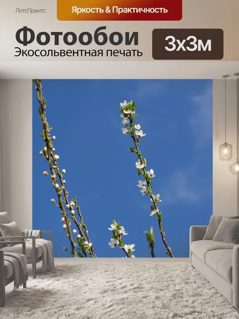 Фотообои Первые белые весенние цветы