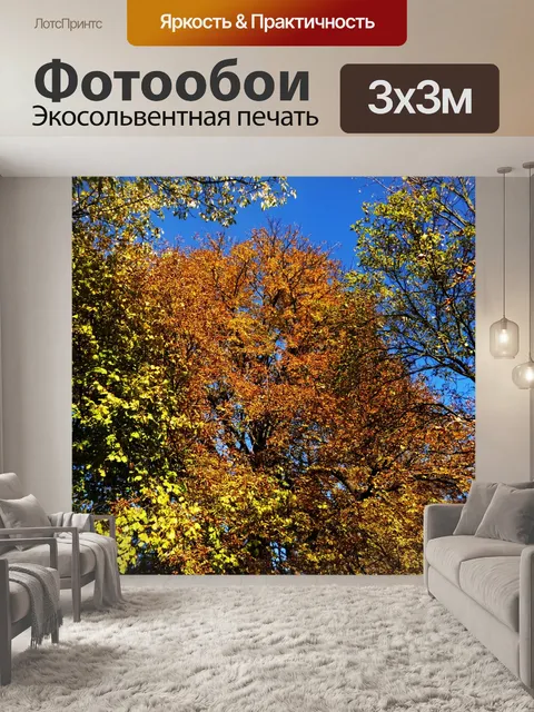 Фотообои Деревья