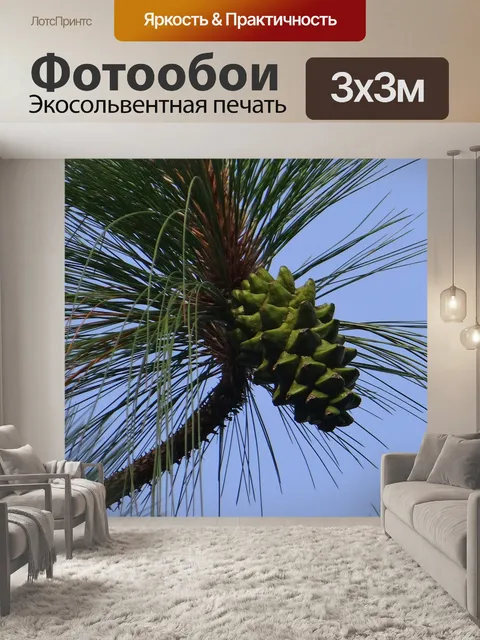 Фотообои Гималайская синяя сосна