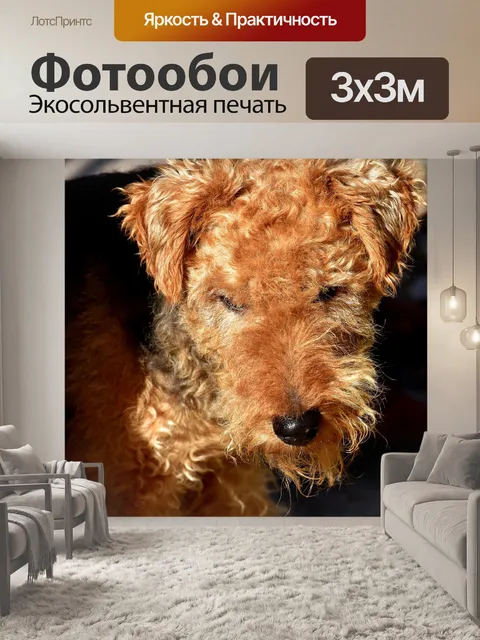 Фотообои Фокстерьер