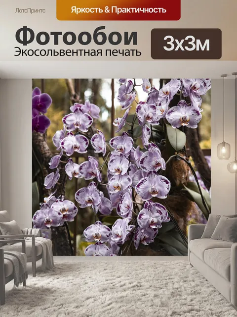 Фотообои Фиолетовый