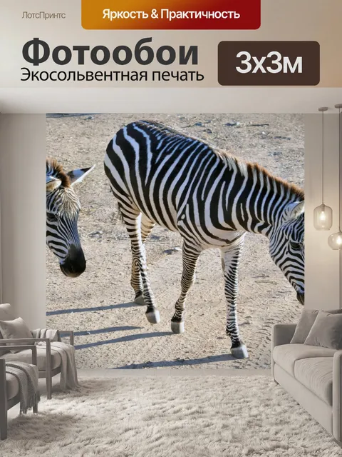 Фотообои Пара Зебры