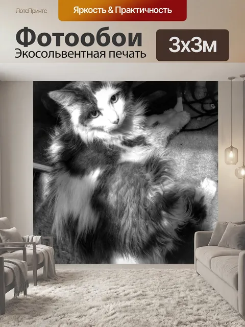 Фотообои Пушистый кот