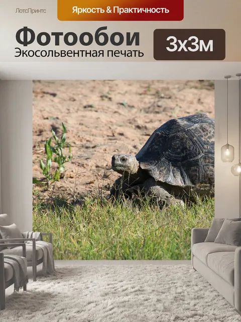 Фотообои Природа