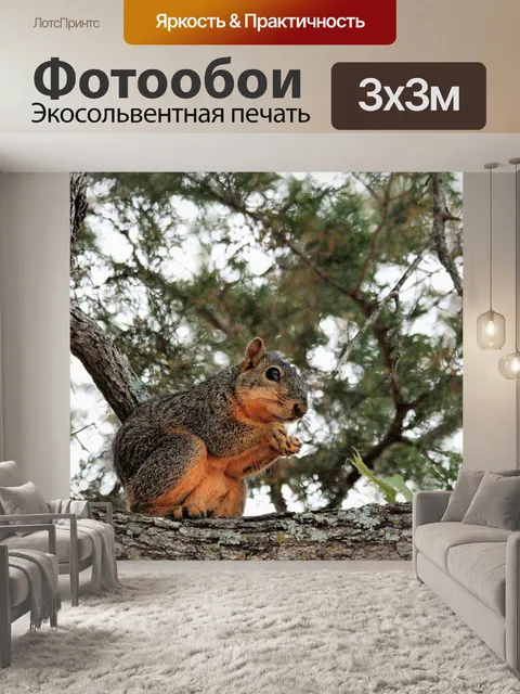 Фотообои Фокс-белка в сосновом дереве