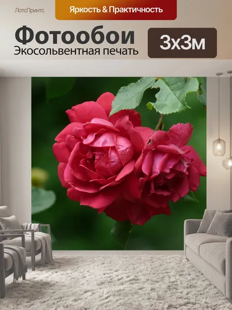 Фотообои Кустовая роза
