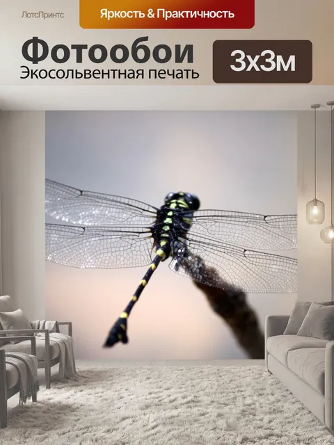 Фотообои черные и зеленые стрекозы крупным планом