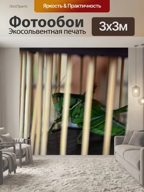 Фотообои Китайские крикету