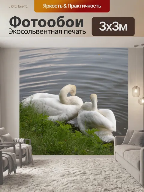 Фотообои Лебеди