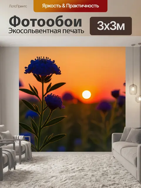 Фотообои цветы на фоне заката