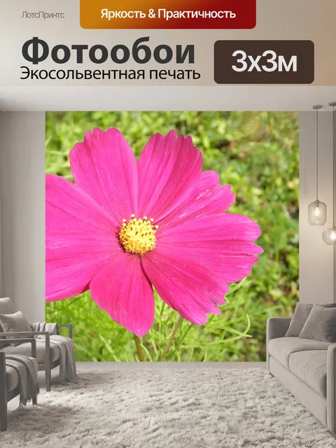 Фотообои Космос Соната 2018 9