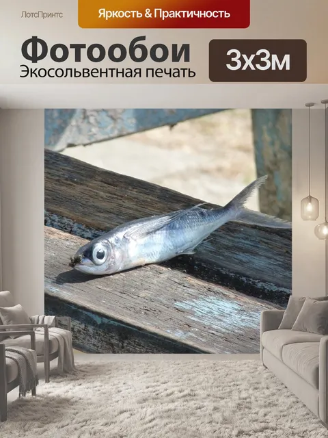 Фотообои Рыбы