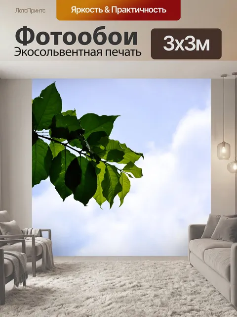 Фотообои зеленые листья в голубом небе