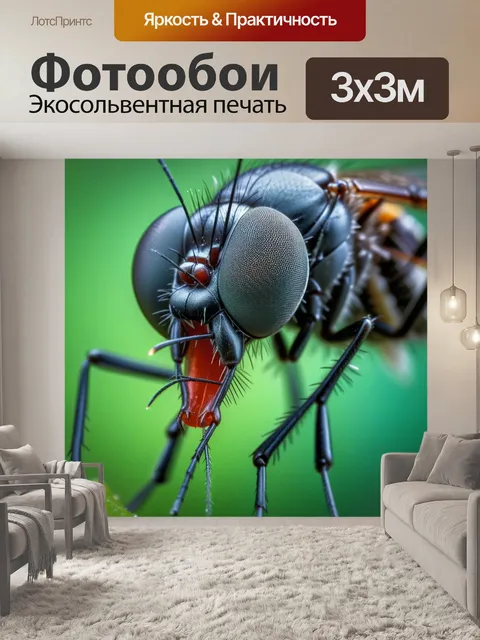 Фотообои красивое макро изображение комара