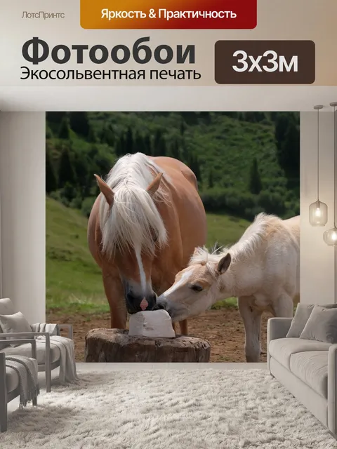 Фотообои Лошади