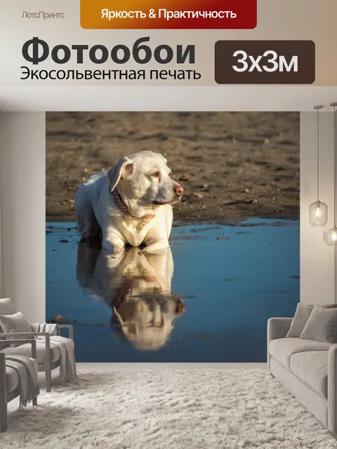 Фотообои Воды