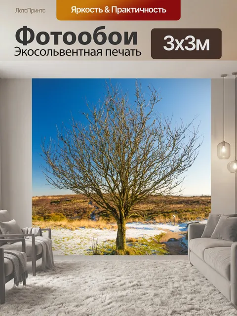 Фотообои Голые дерево