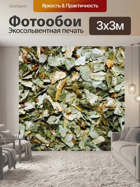 Фотообои Медведь чеснок