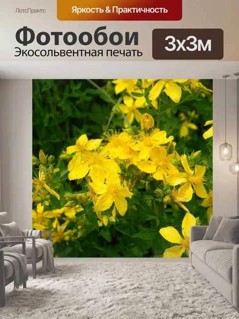 Фотообои Зверобой