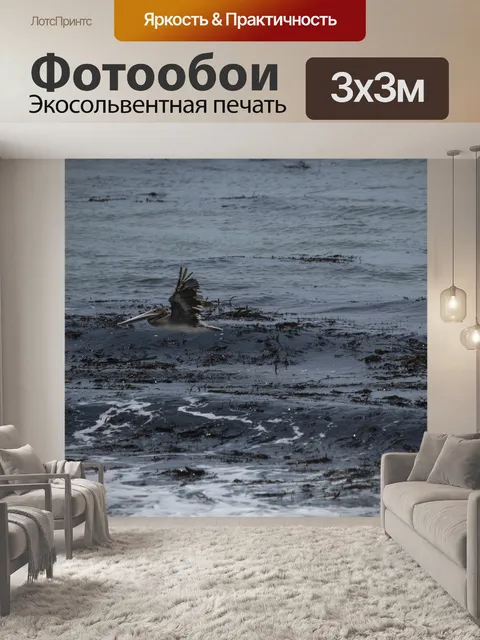 Фотообои Пеликан