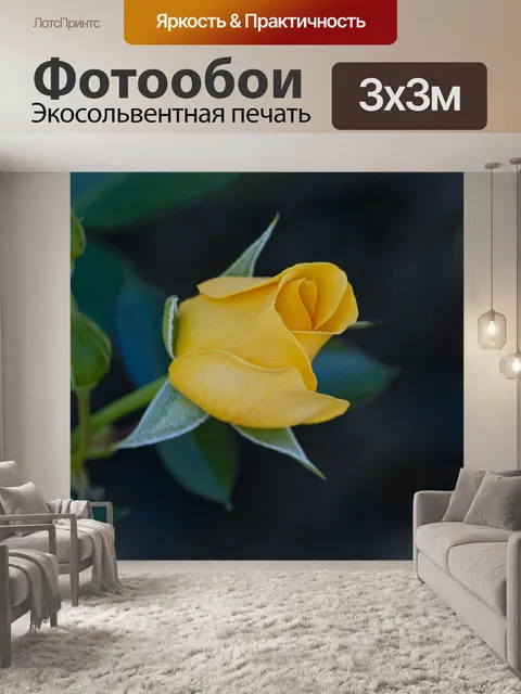 Фотообои Желтая роза Бад