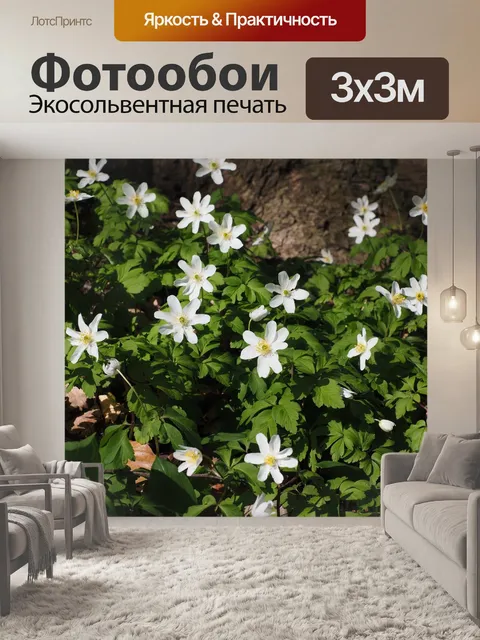 Фотообои Древесные анемоны