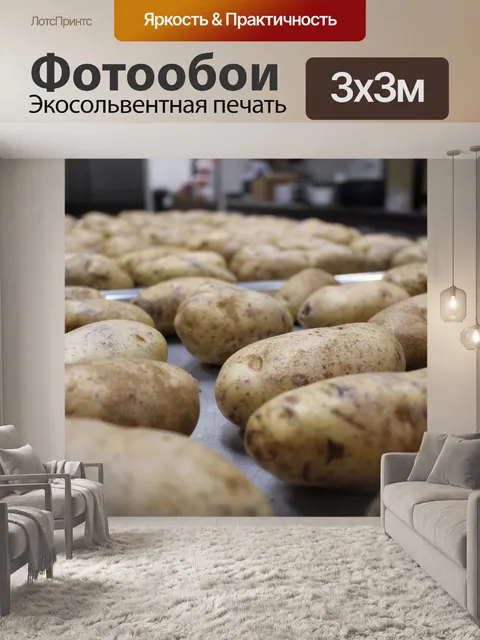 Фотообои Картошка