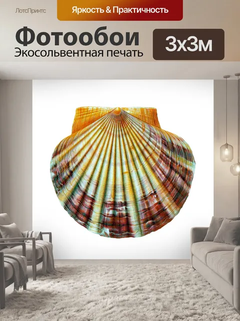 Фотообои Ракушка улитка винтажное искусство