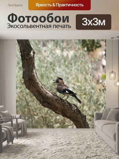 Фотообои Птица