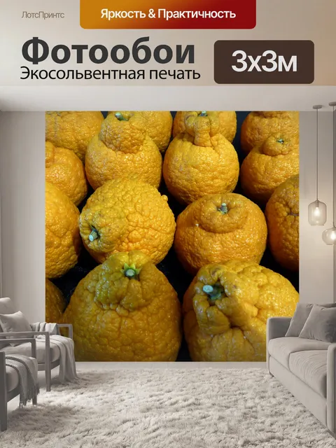 Фотообои сумо мандарины цитрусовых фруктов
