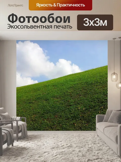 Фотообои Зеленая трава и синее небо
