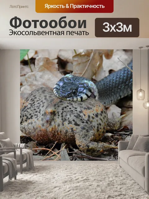 Фотообои Змея
