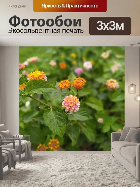 Фотообои Цветы