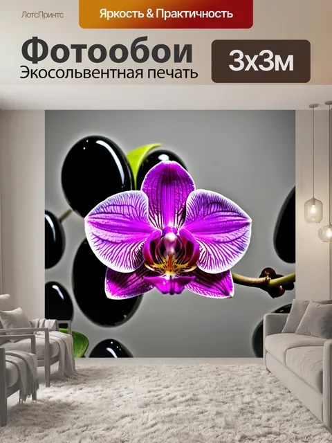 Фотообои орхидея, контрастирующая с черными камнями, символизирующая силу и грацию