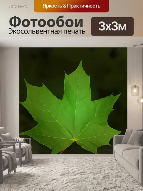 Фотообои Клен