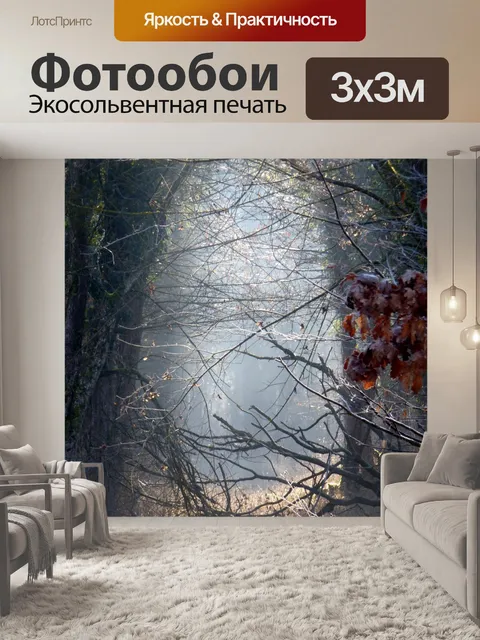 Фотообои Лес